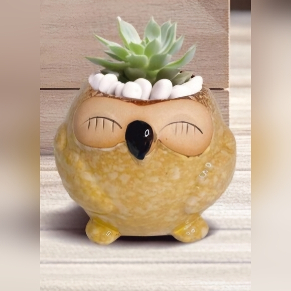 NWOT | Adorable Ceramic Owl Succulent Planter Pots | Set Of 4 | Drainage Holes - Picture 7 of 16